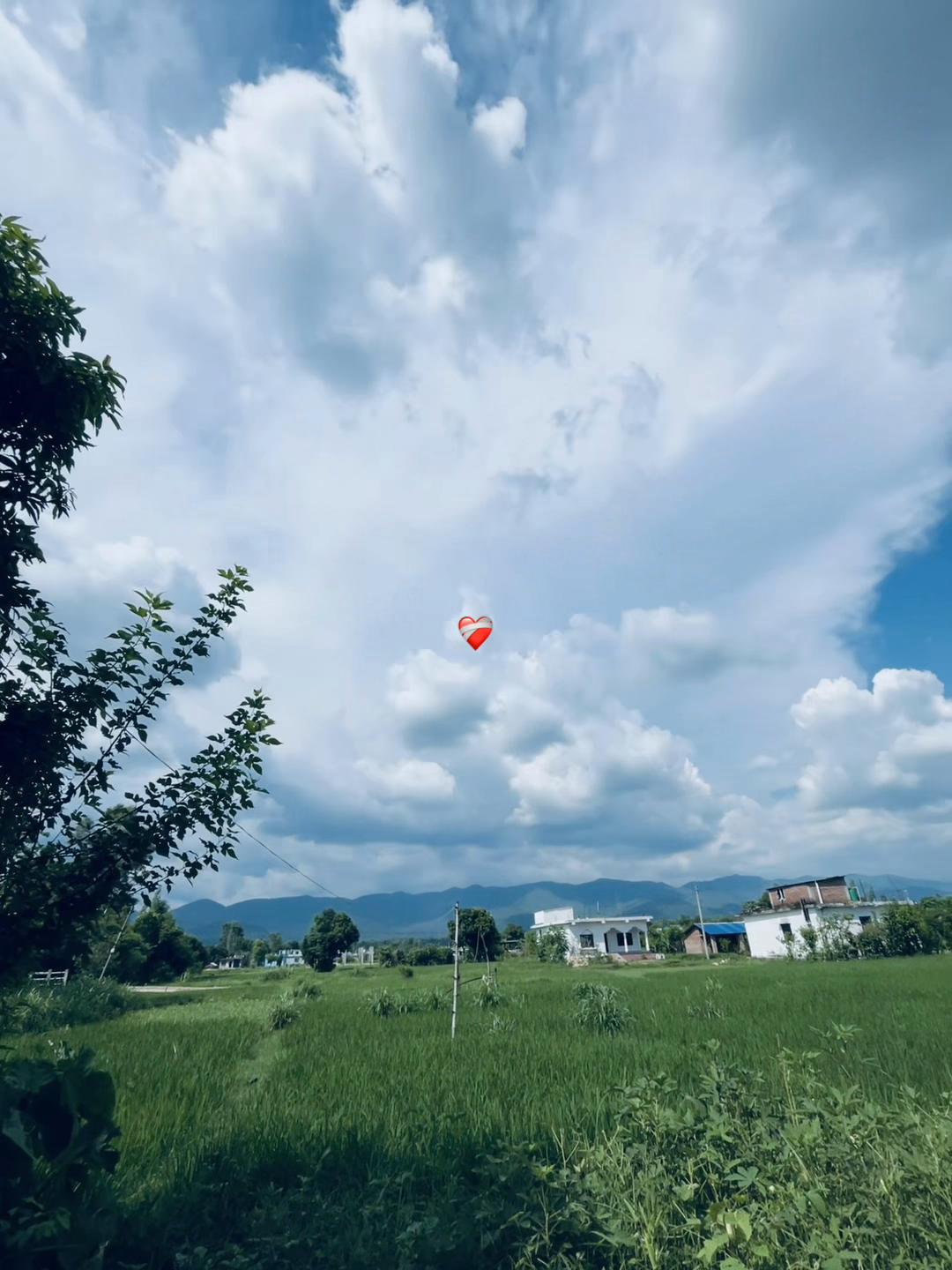 @jiteyyyyy🕸️