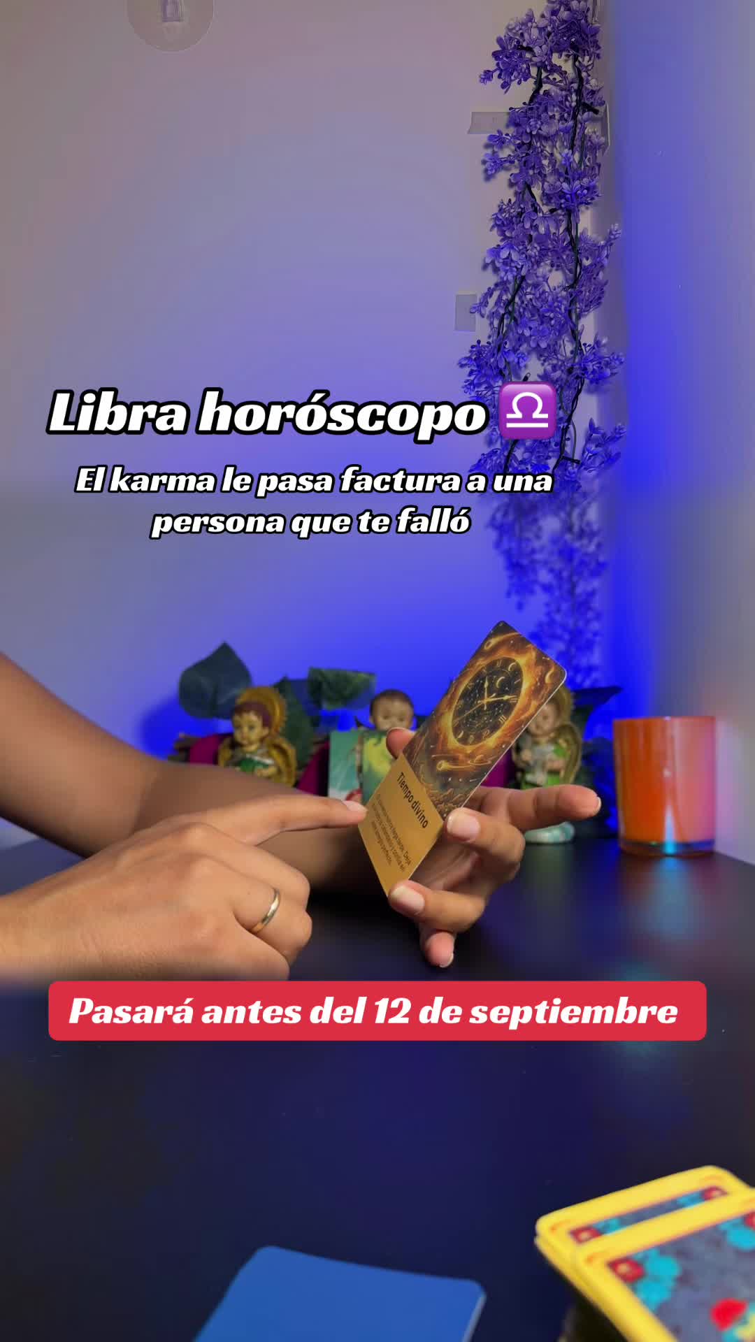 @camitarot77