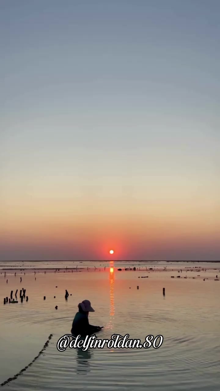 @Delfín🇪🇨