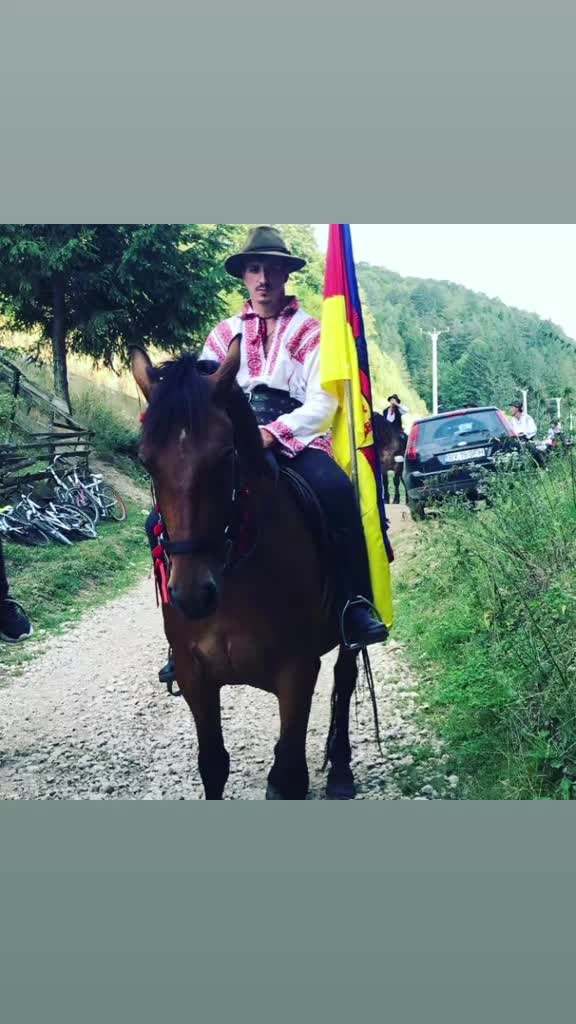 @Ionicã Sulica