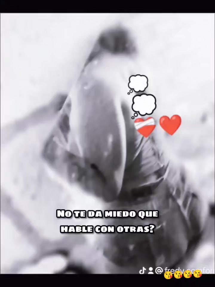 @Estefania Abigail