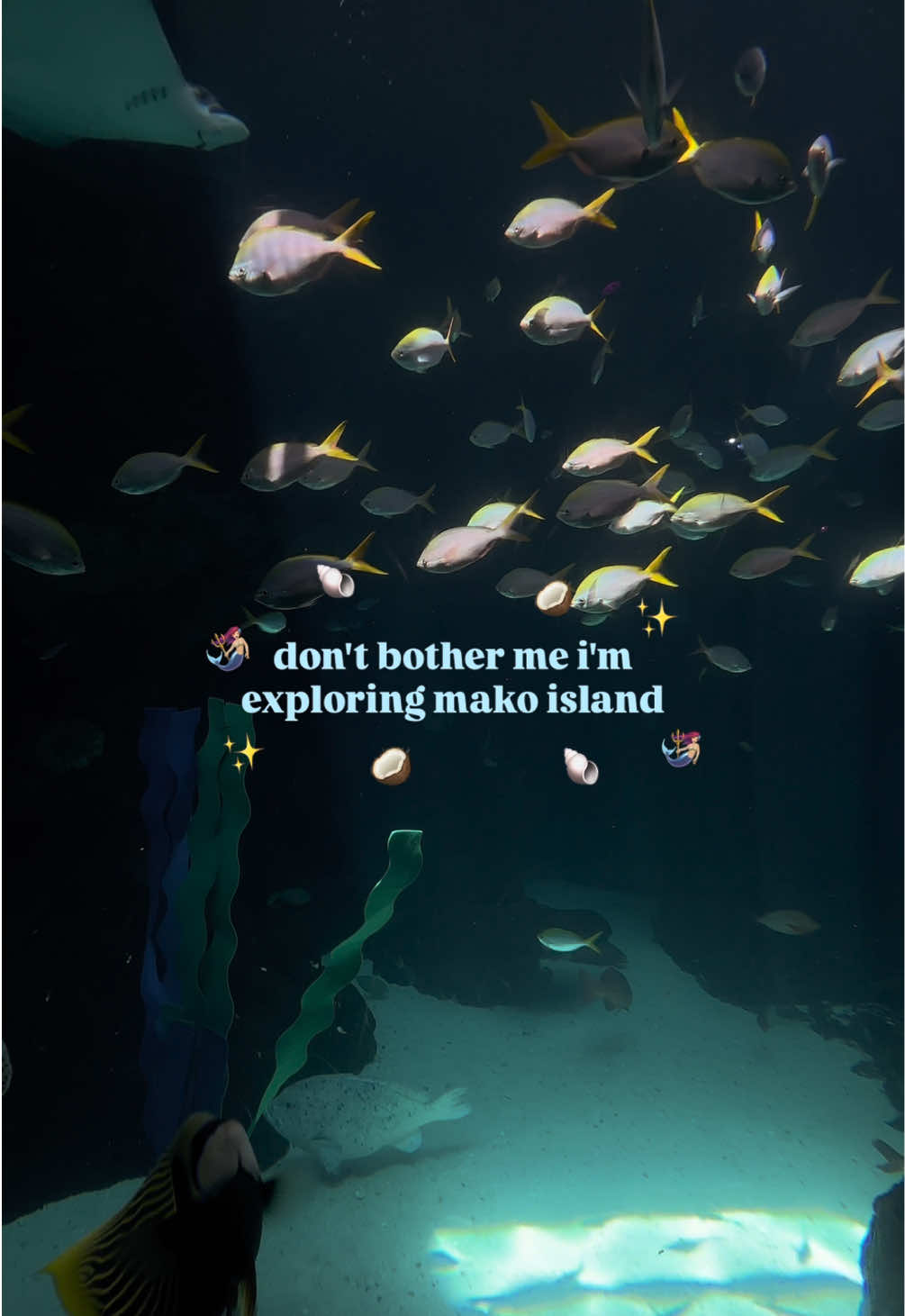 @The Florida Aquarium