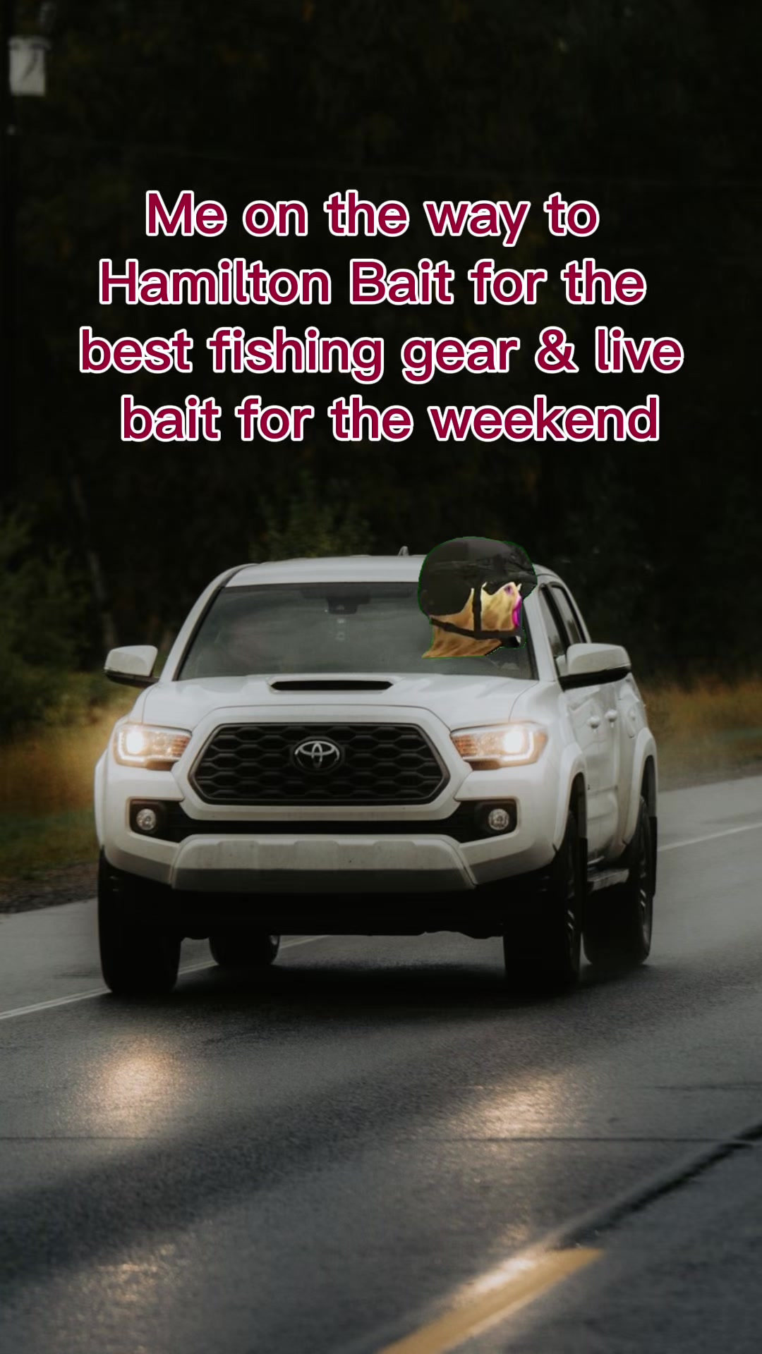 @Hamilton Bait & Tackle