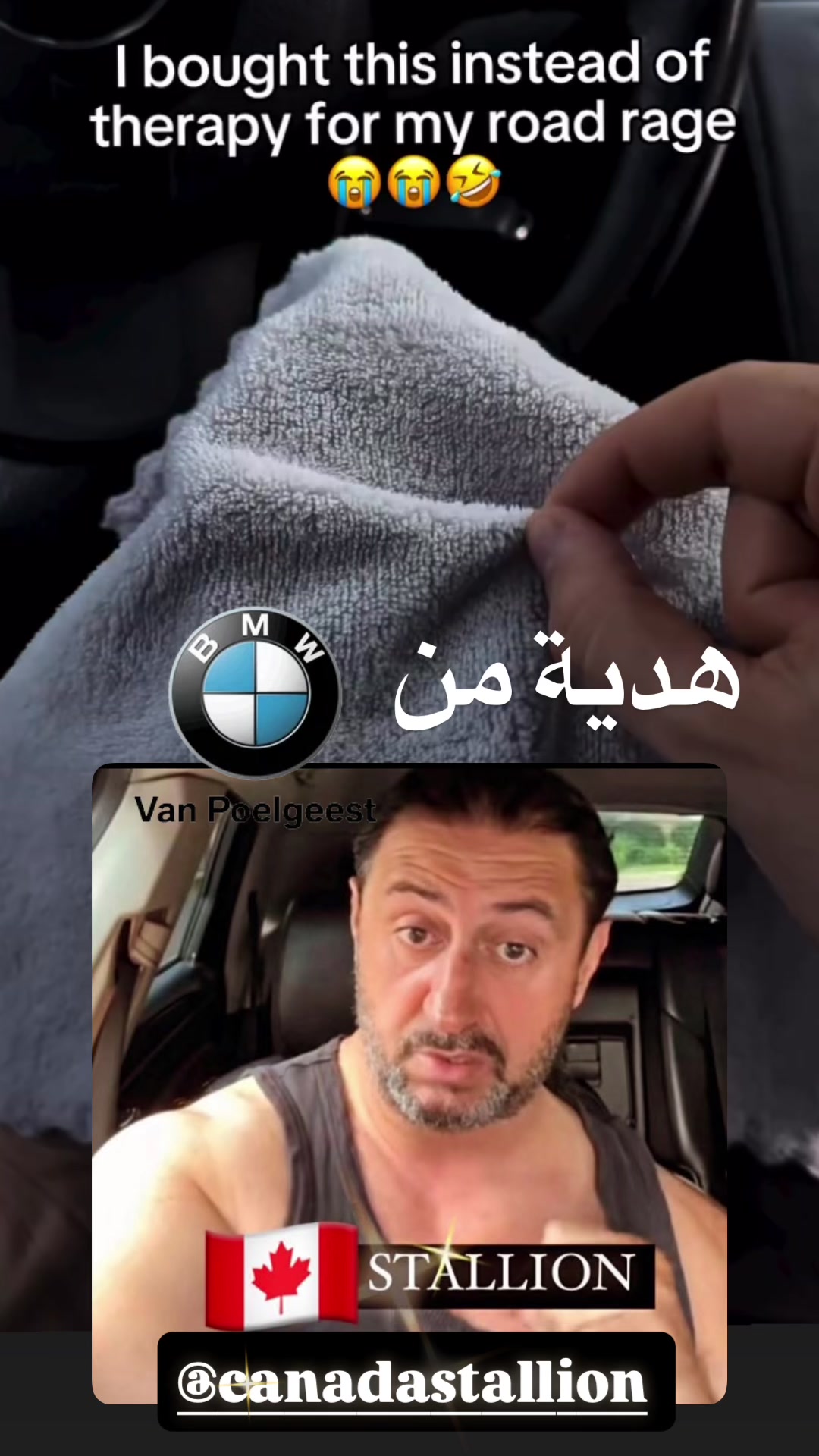 @Canadastallion 🇨🇦 الأصيل