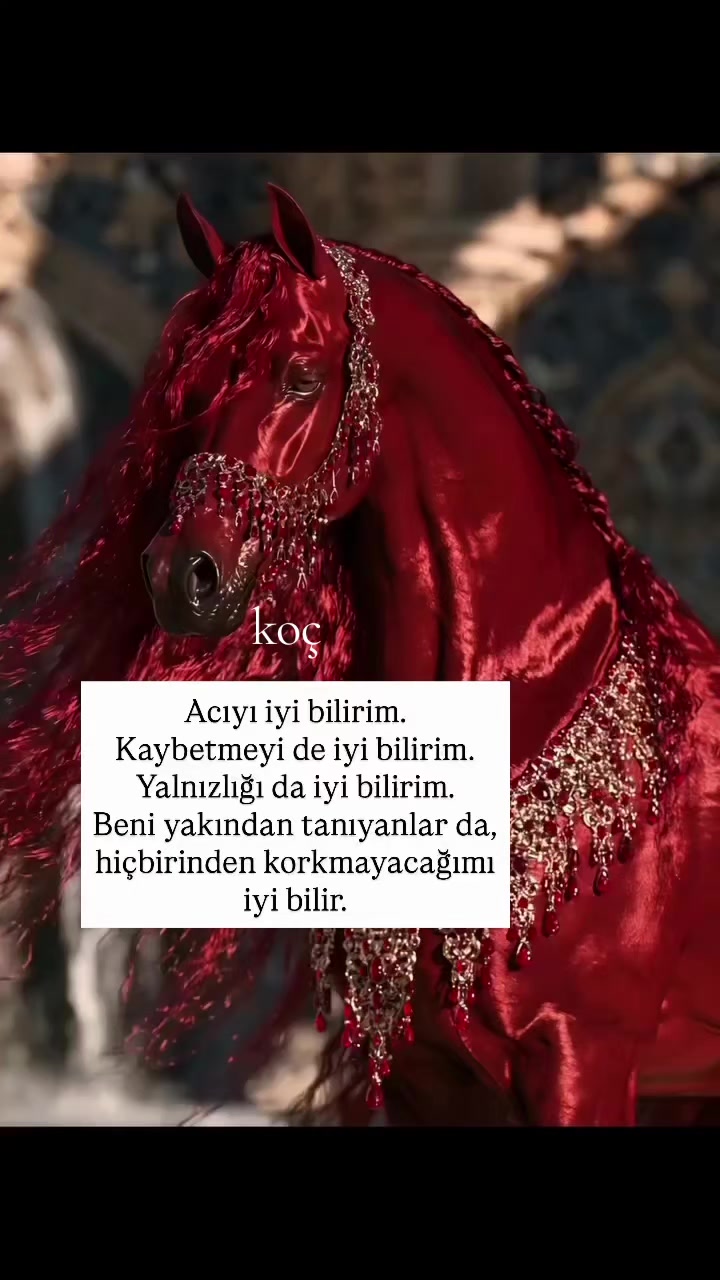 @Anka♈️👑