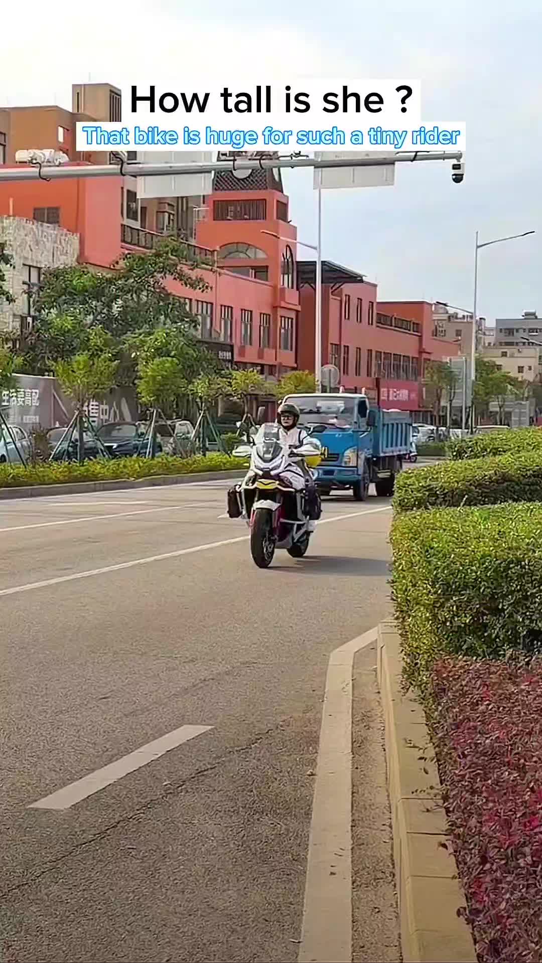 @Ximei Jo