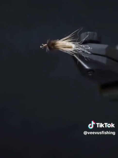 @veevusFishing
