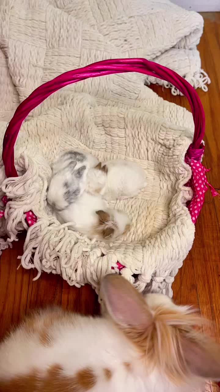 @snackqueenandsir