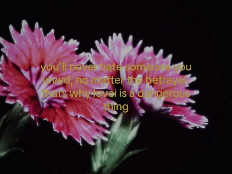 @riri ☾