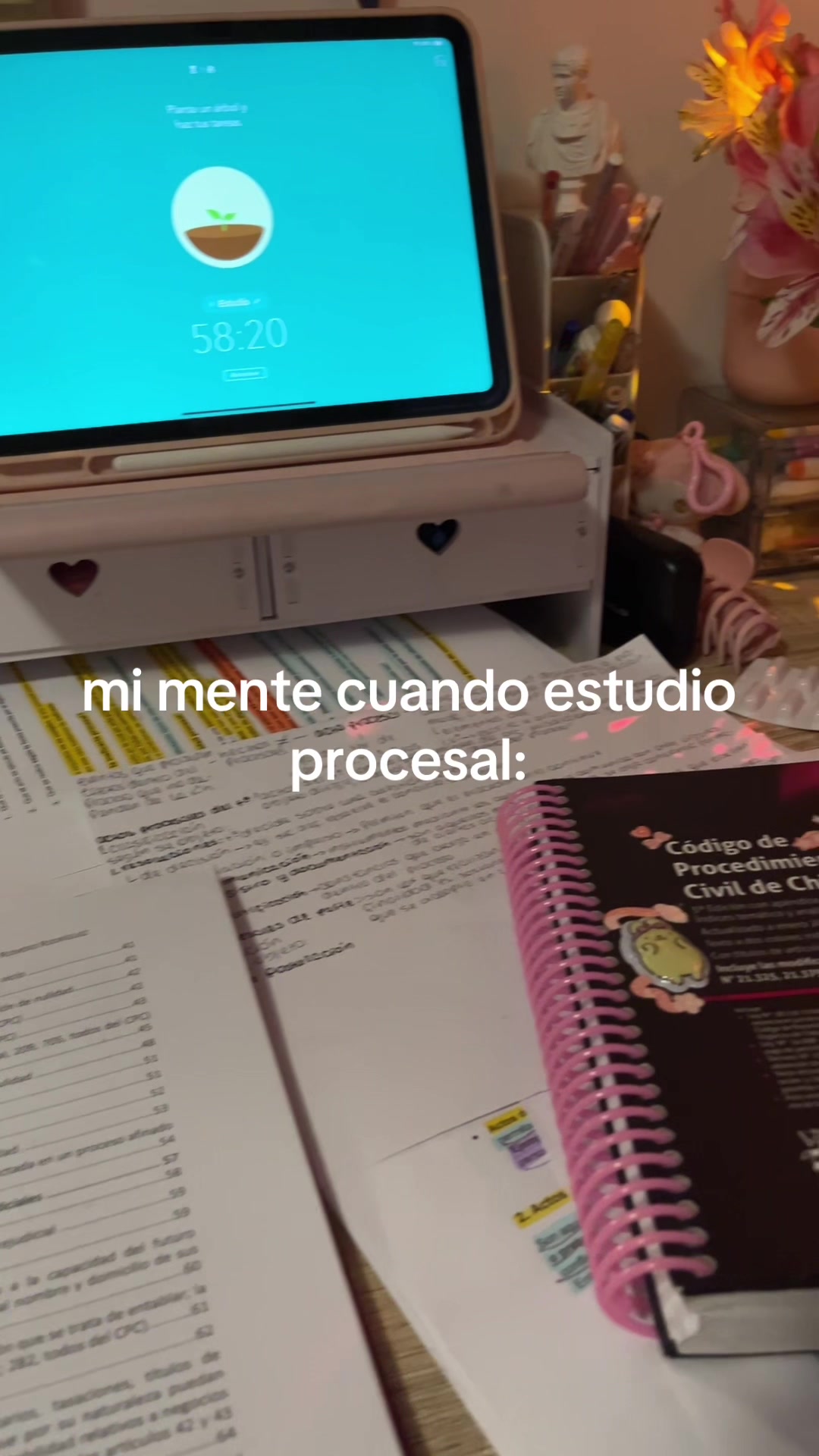 @catita
