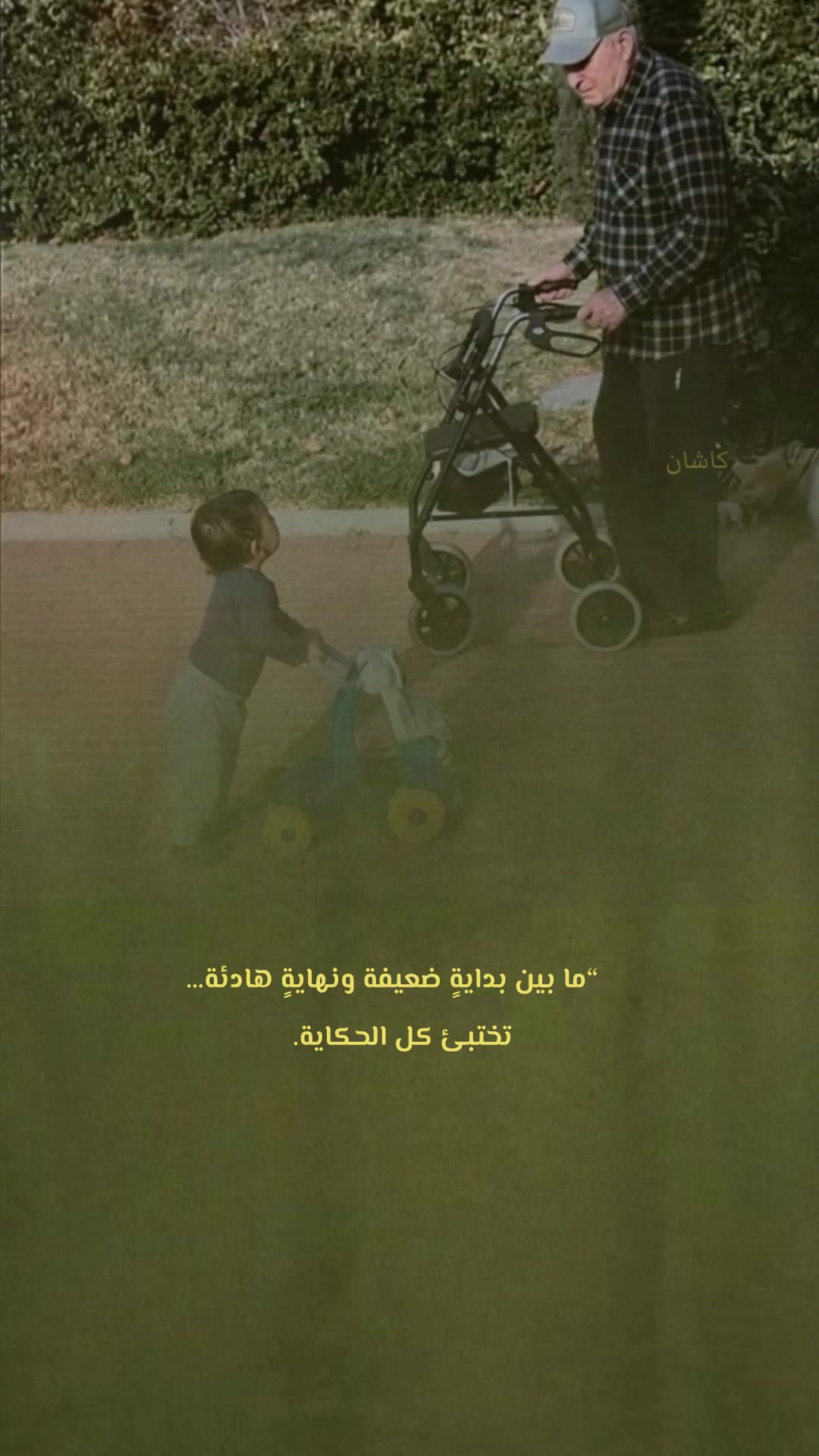 @kashin_02
