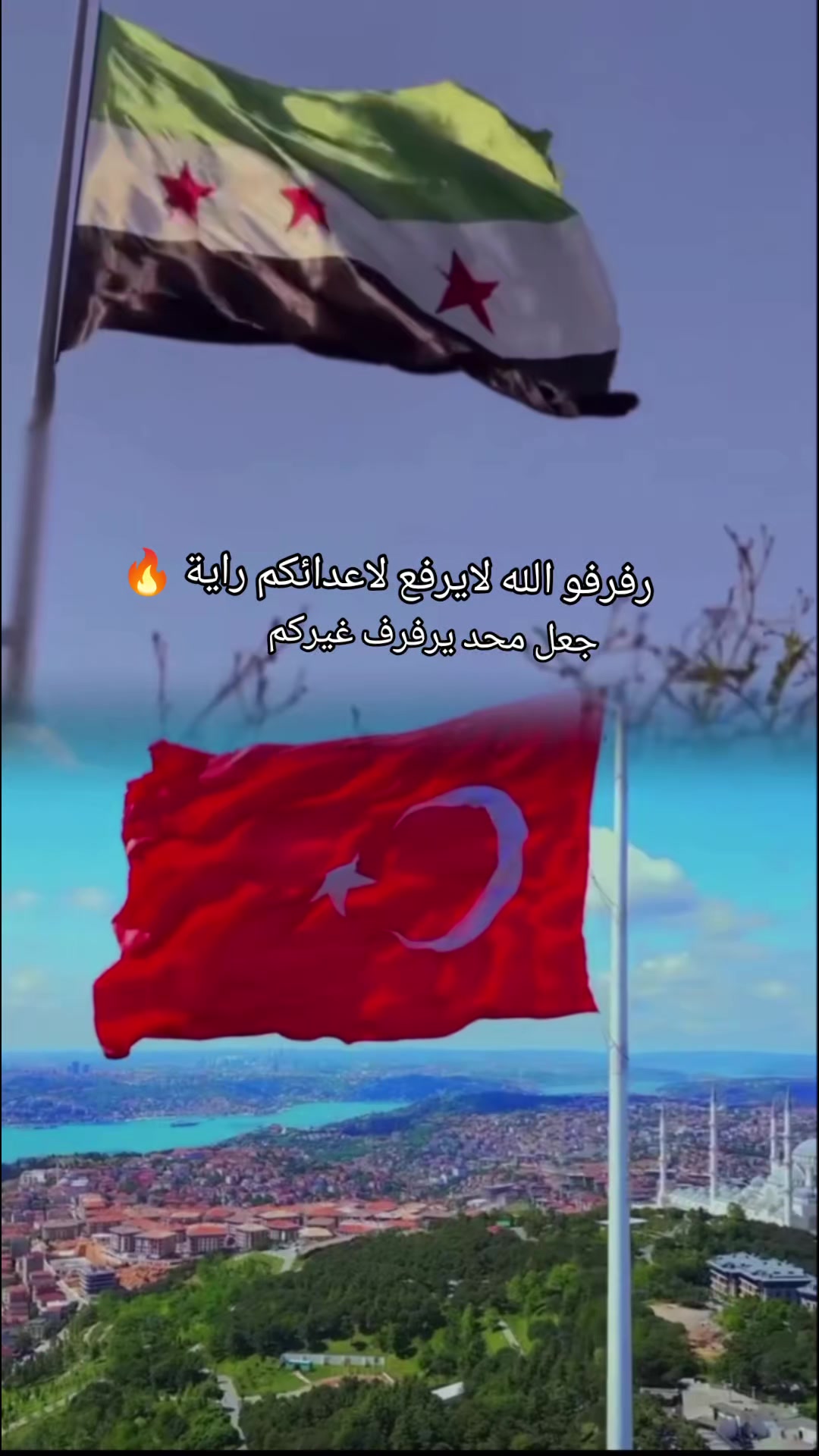 @نيلوفر؟🦌