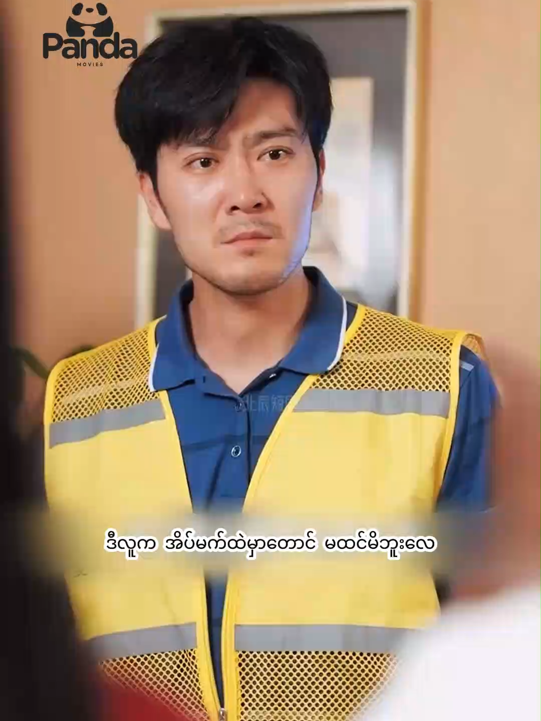 @Panda movies(1)