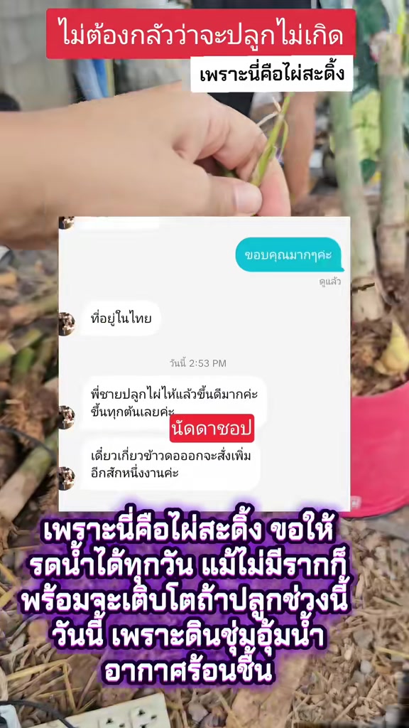 @นัดดาชอป