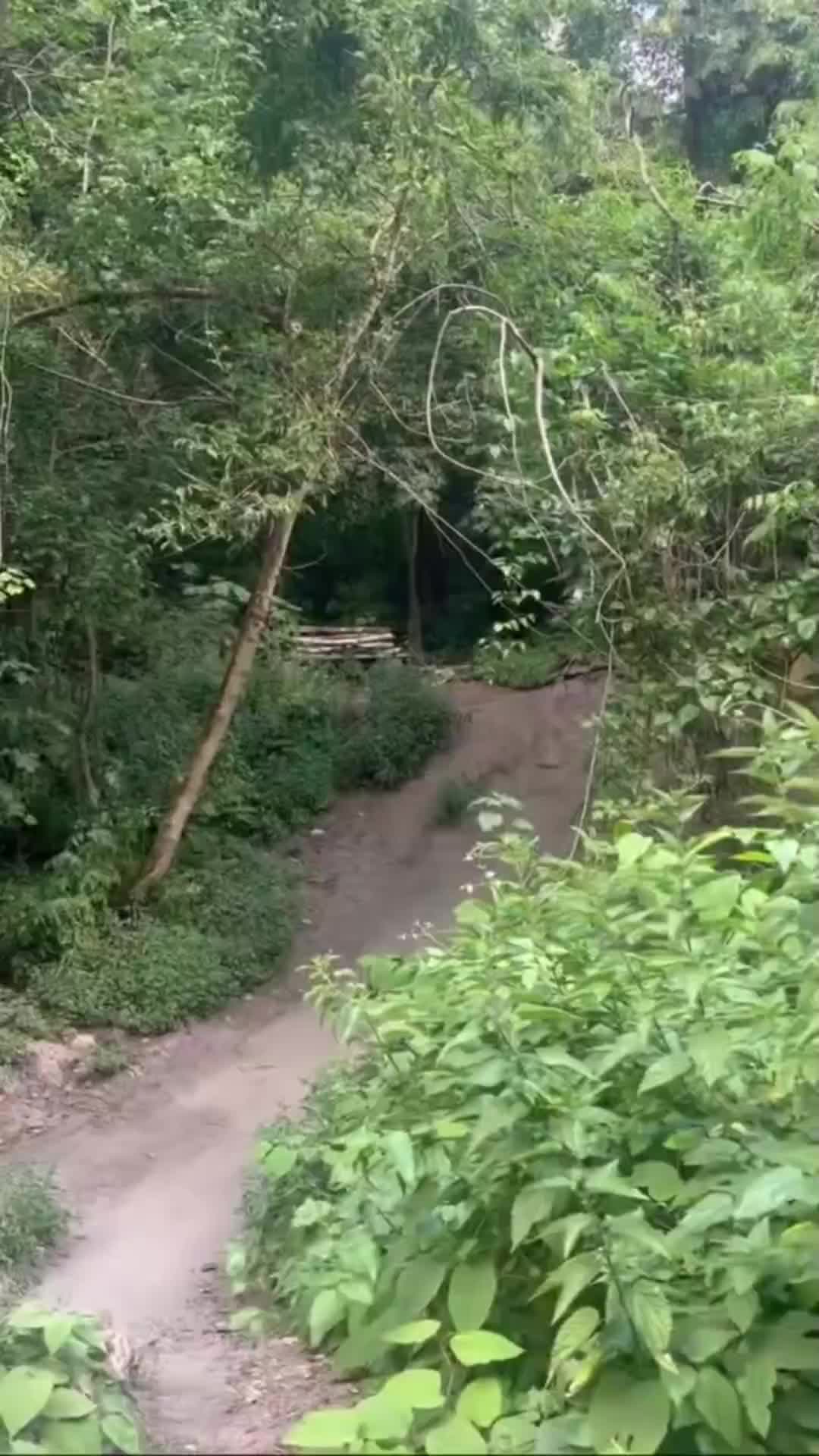 @LX_On_MTB