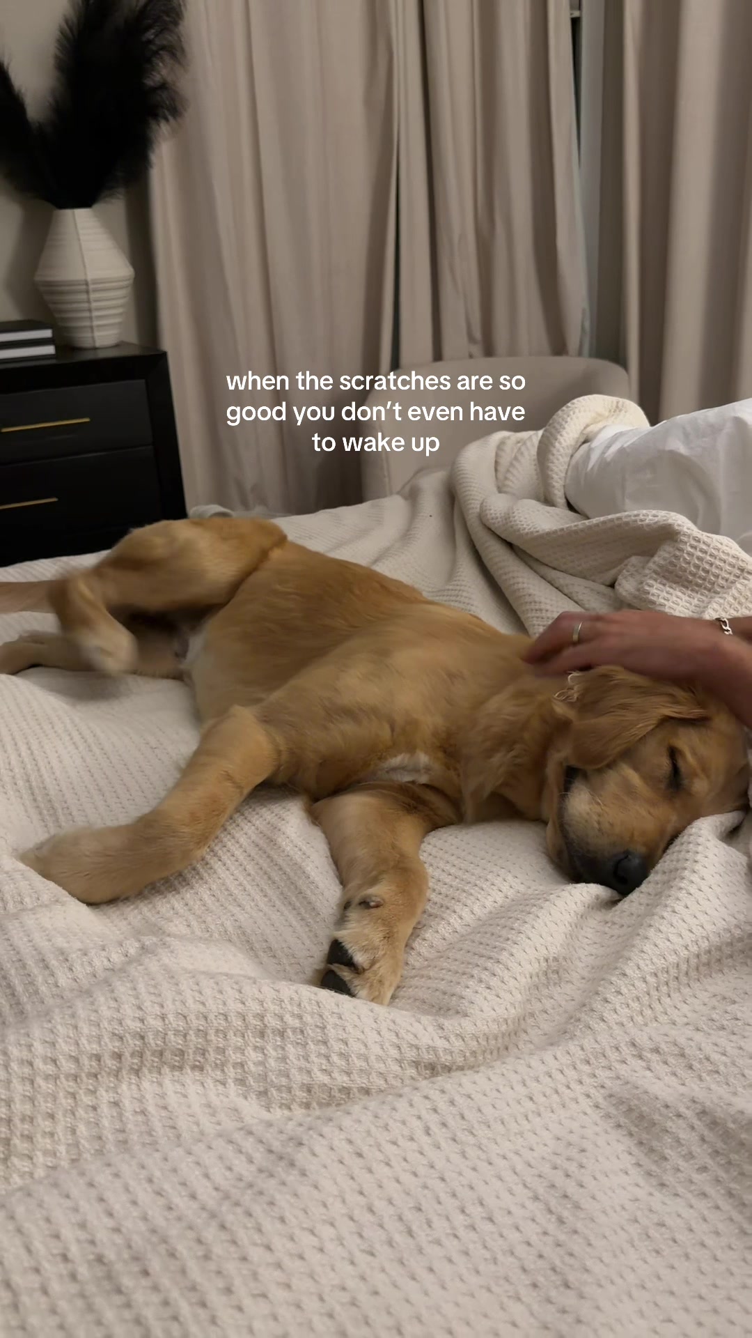 @Tater the Golden Girl