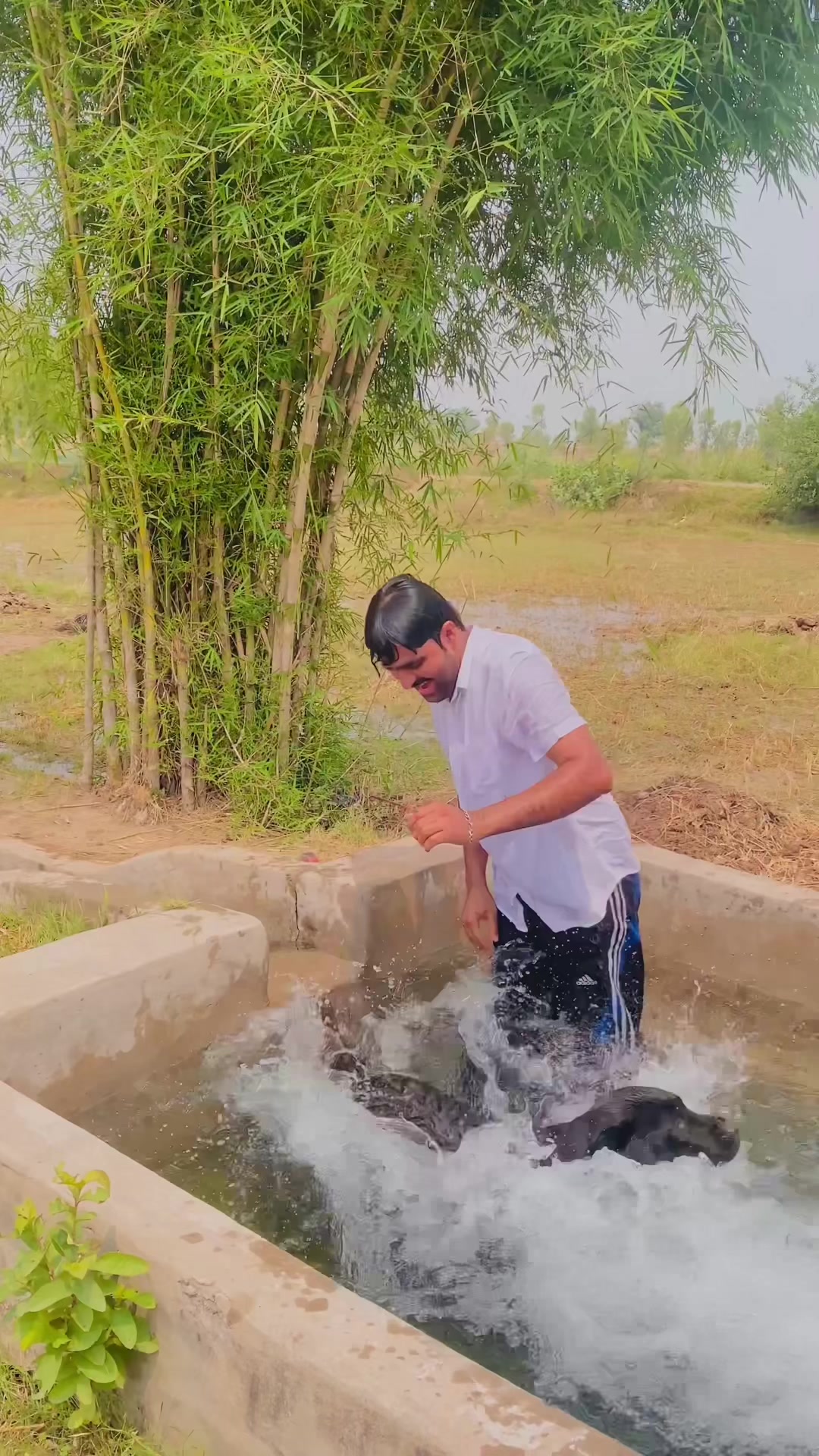 @Mr Talha_Dhillon 786🦅