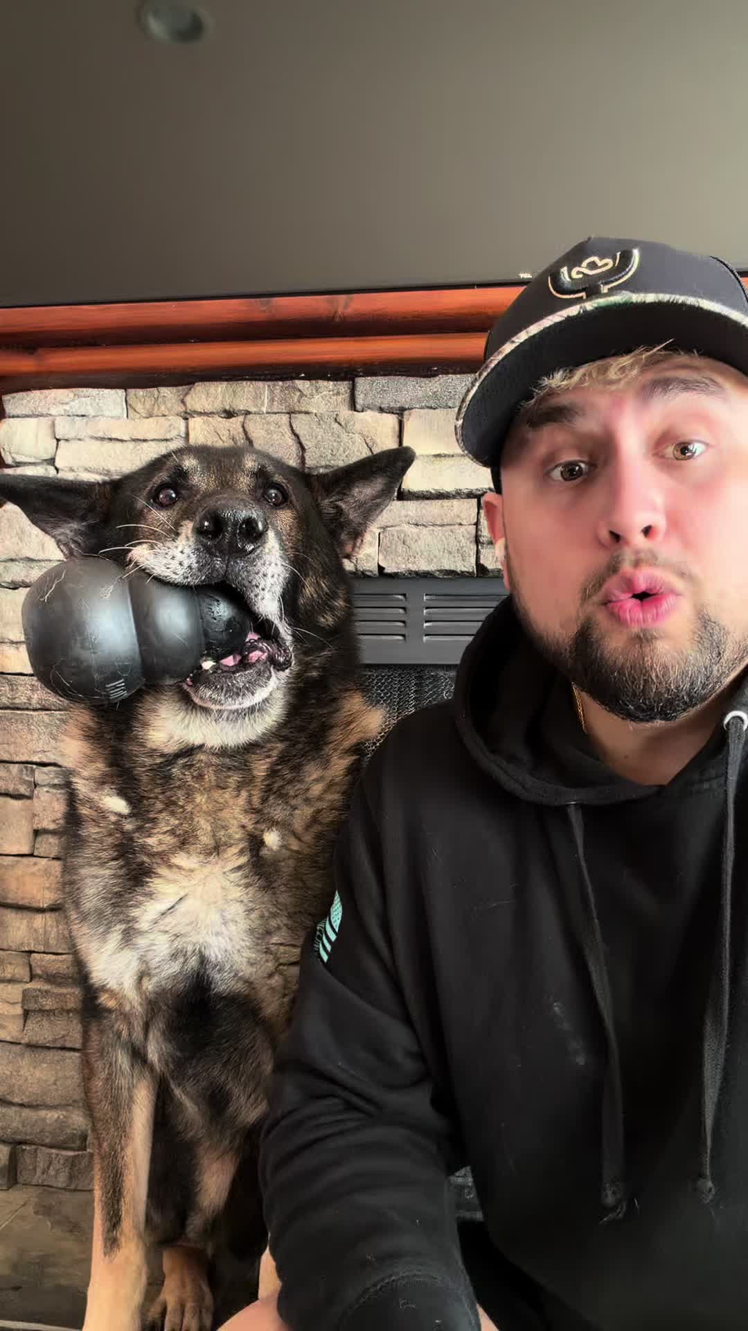 @K9 Arlo