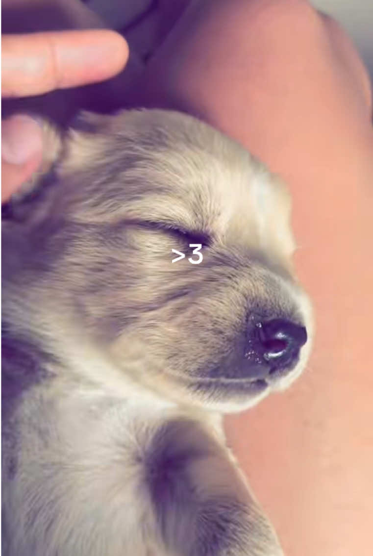 @maeyv