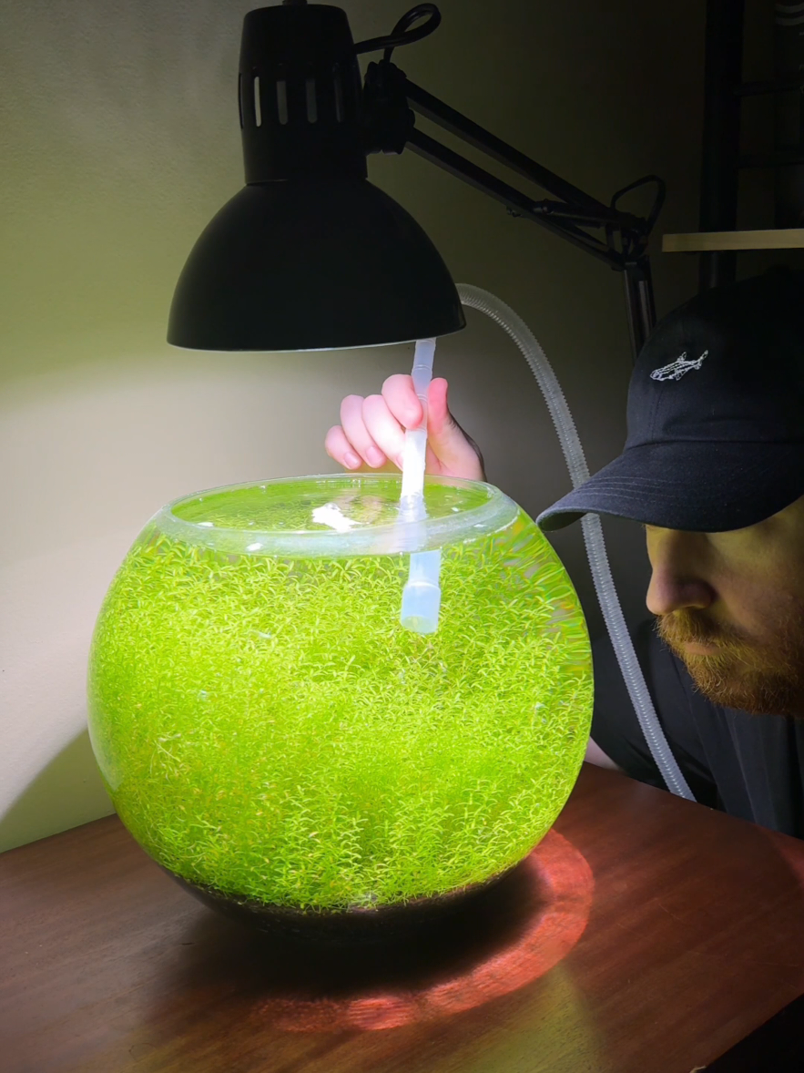 @Nanoscape
