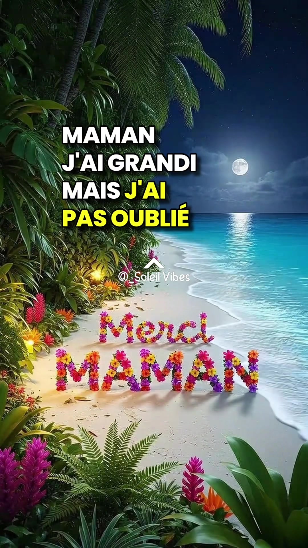 @Soleil Vibes