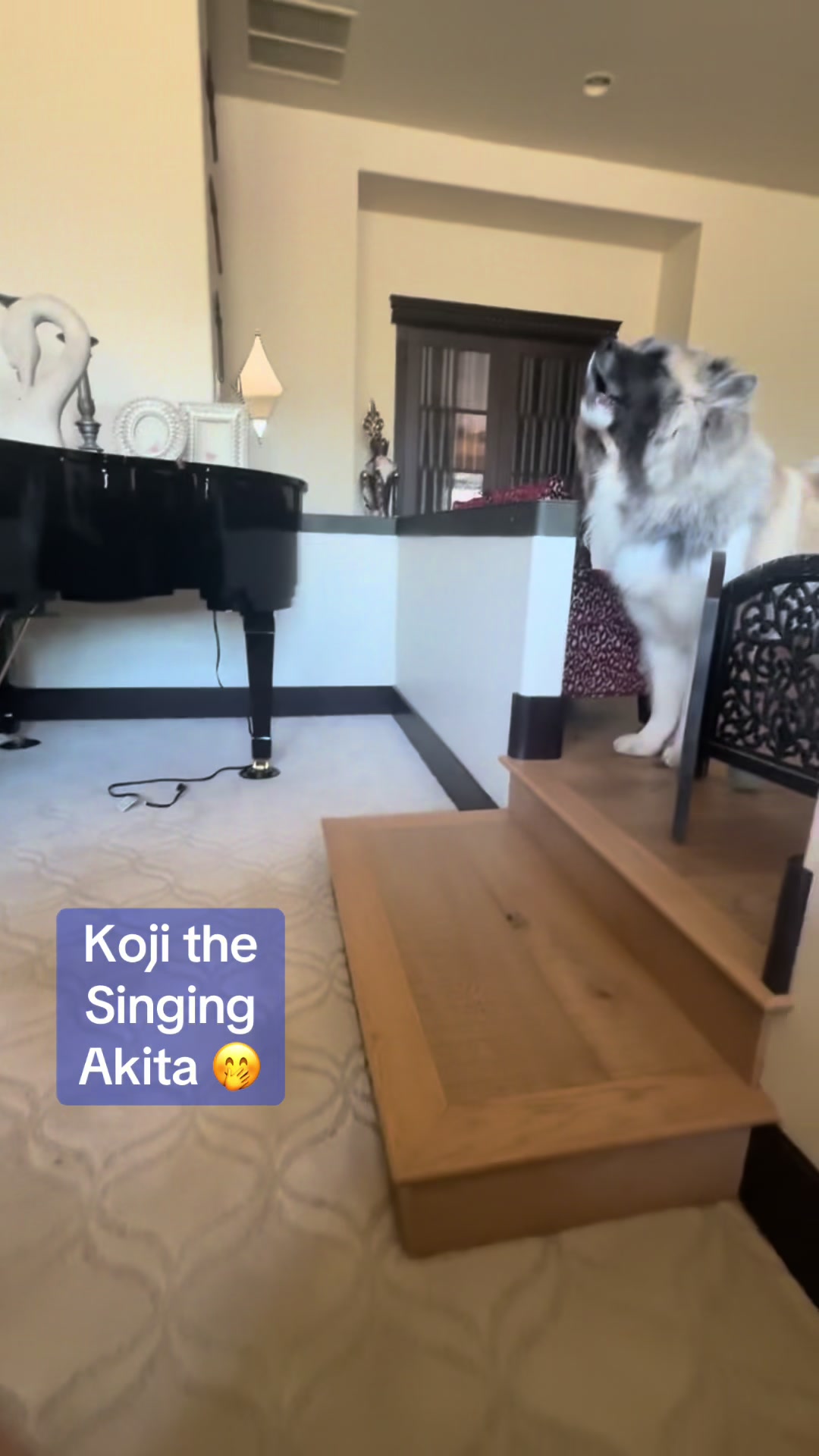 @Kojisworld