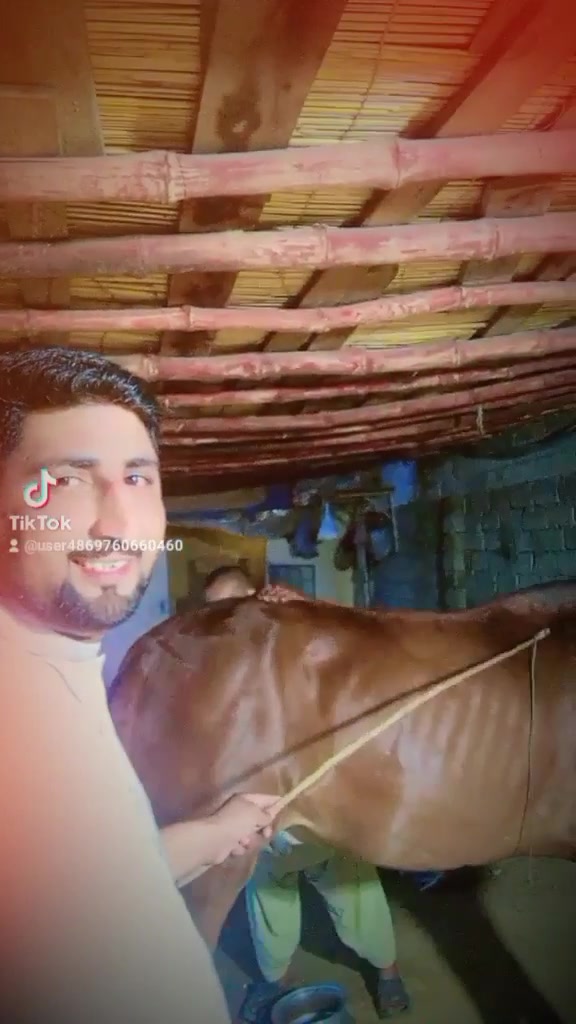 @Ahsan khan 123