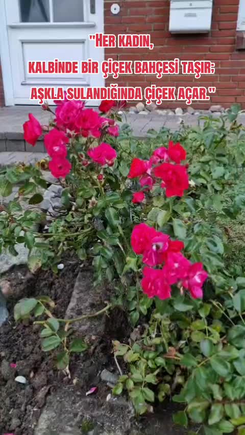 @🇩🇪MAVİ💙MUTFAK🇹🇷