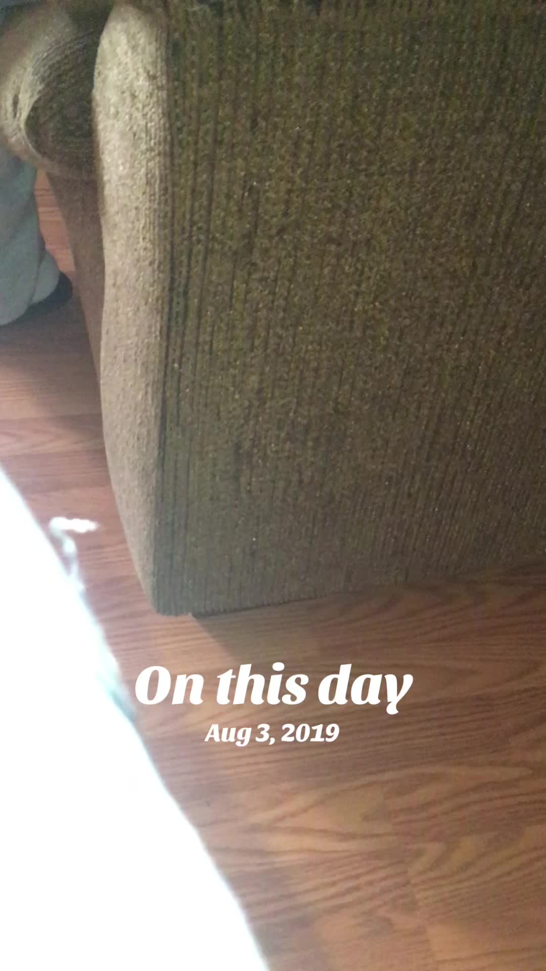 @niecywhat