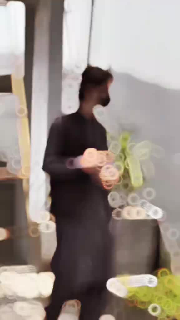 @sani