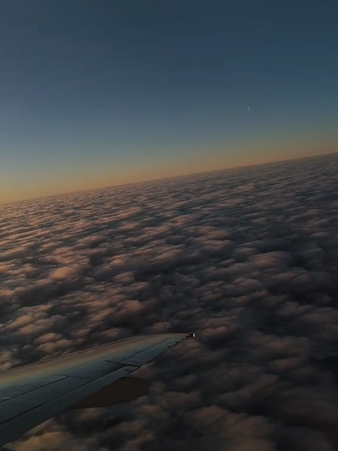 @maximironov_nn