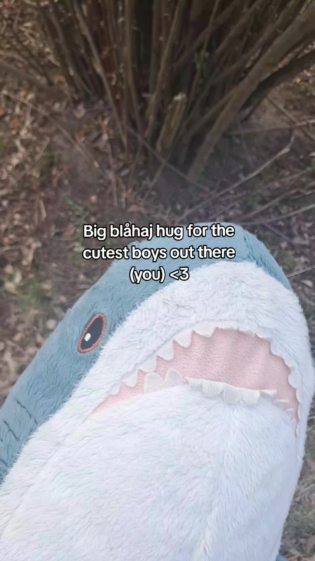 @Willie the Shark <3