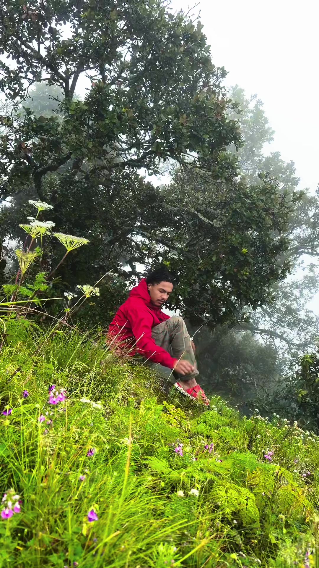 @आदेश रावल 🍂