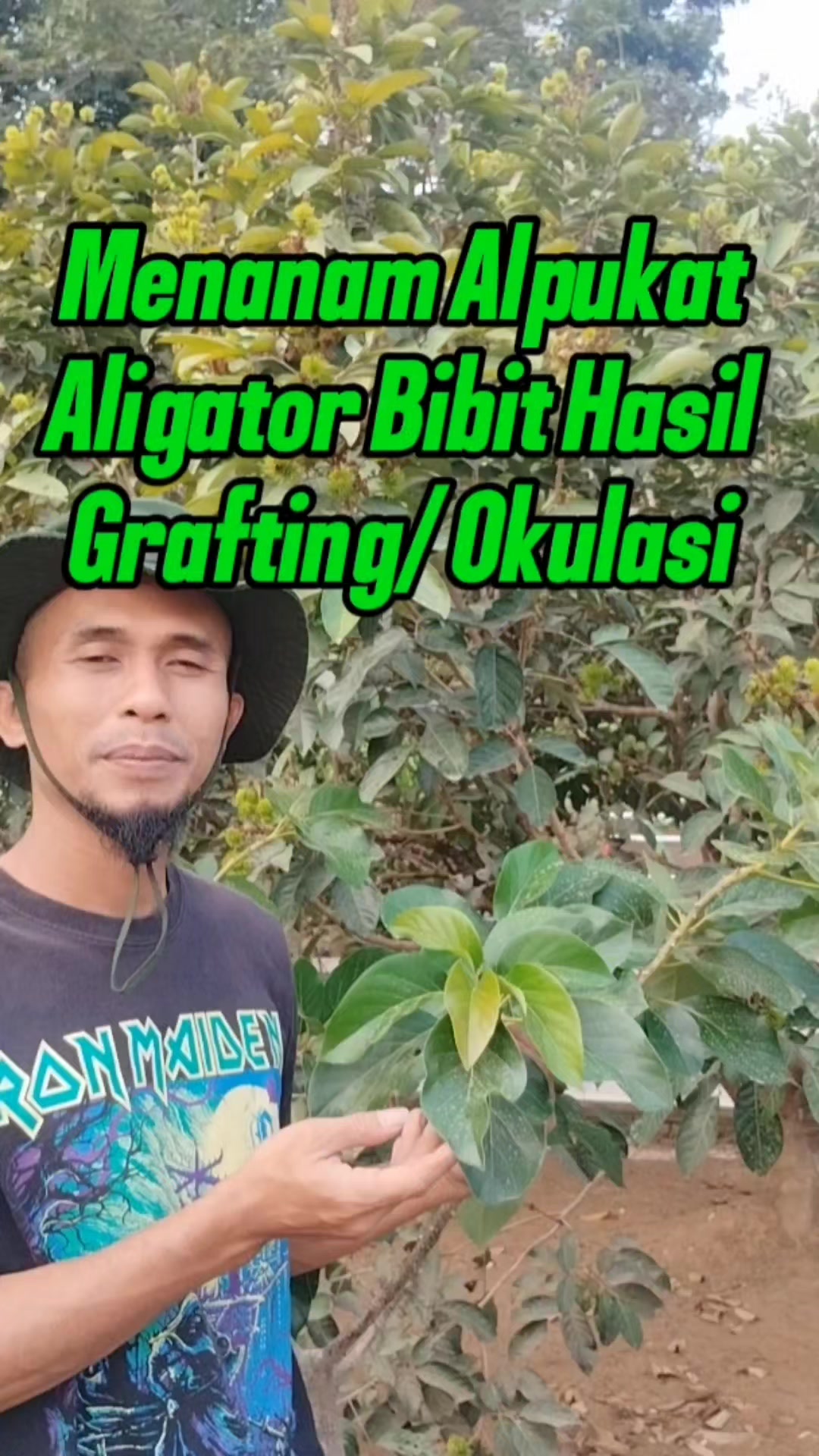 @Bukit Farming