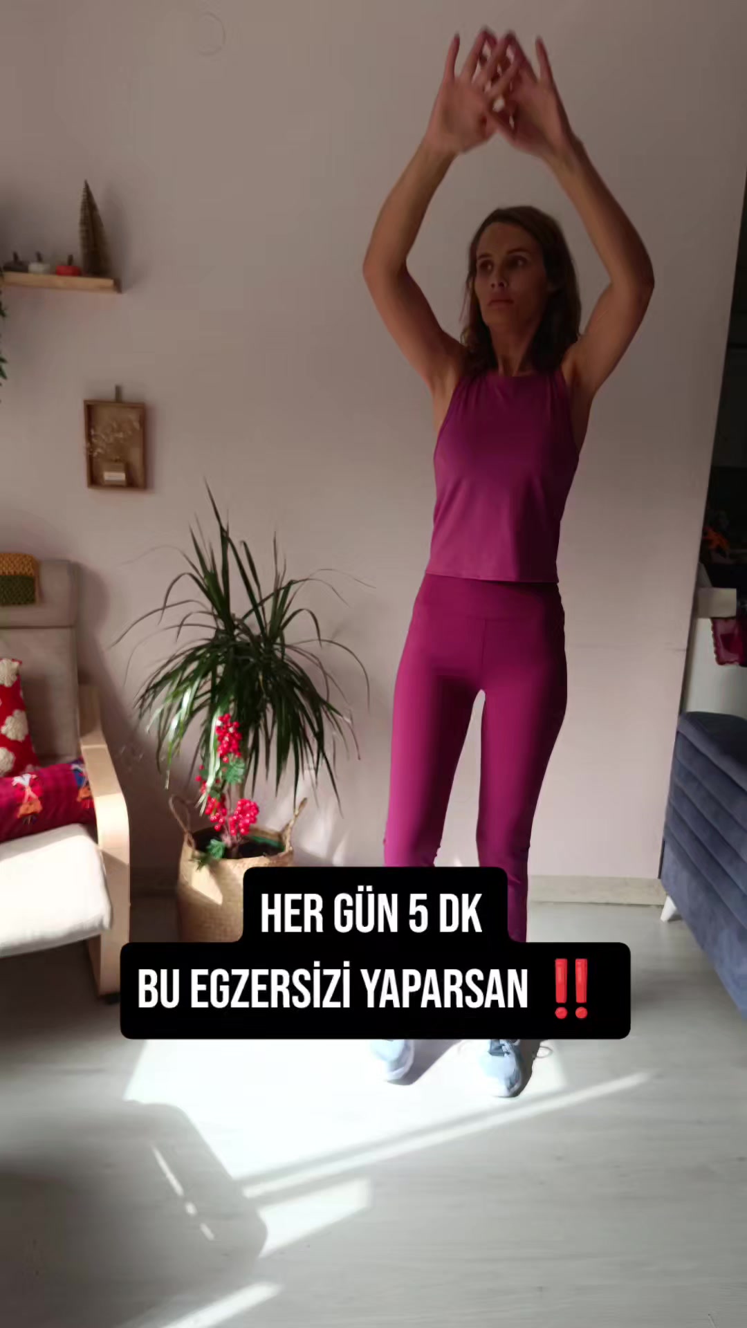 @ipekmori