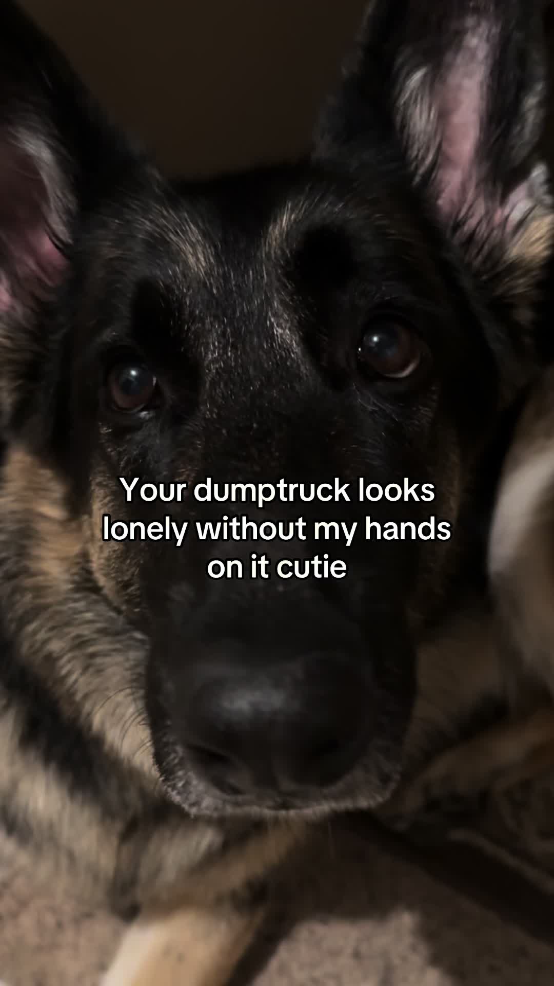 @Bhris