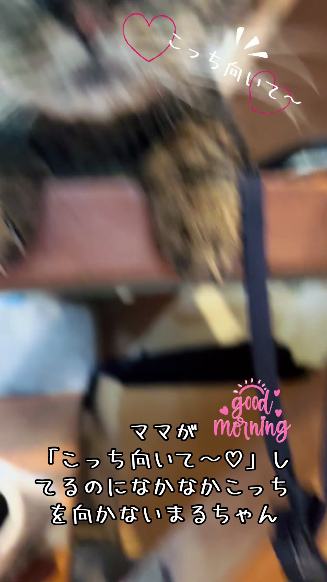 @ãµãã»ãºð∞ðç«å¥œã