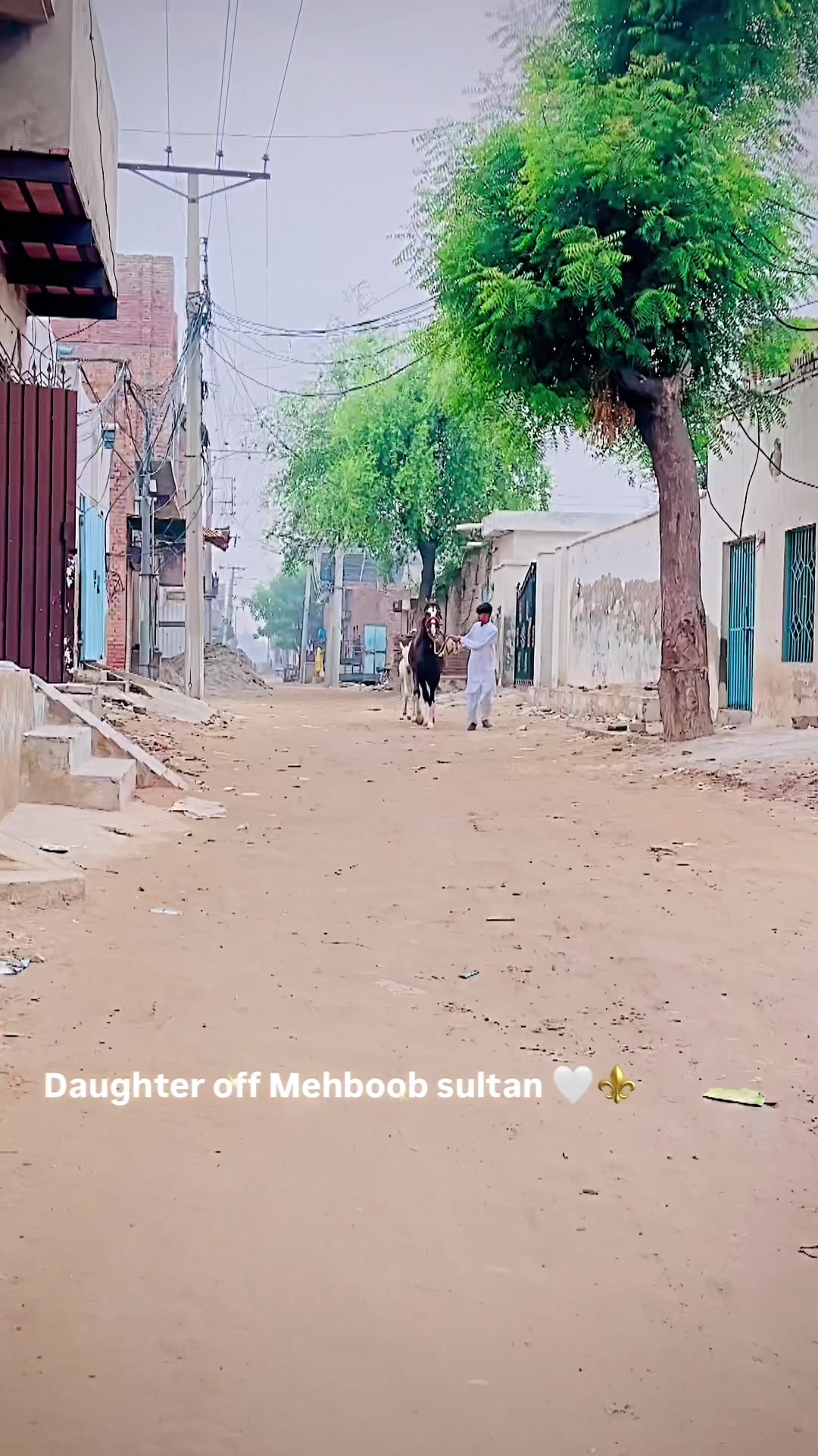 @مرزا قزل