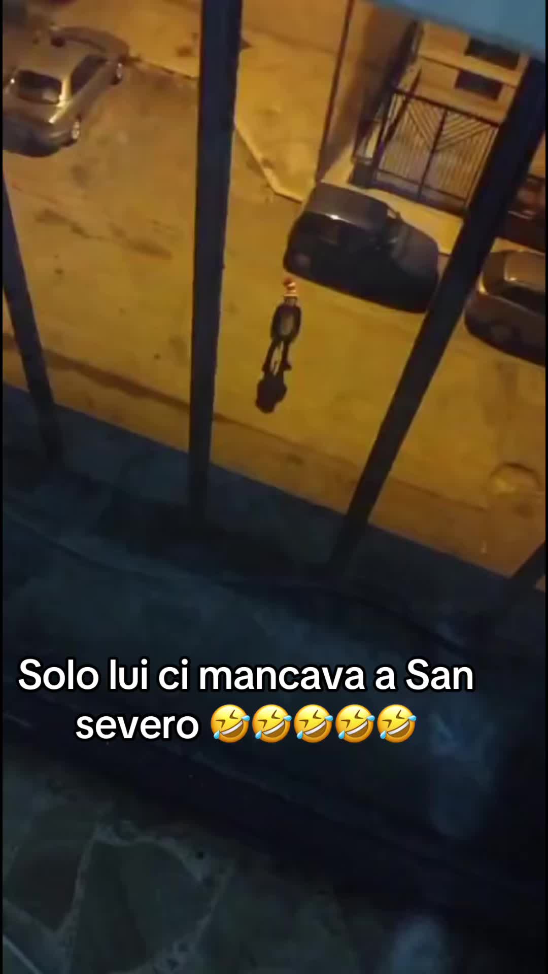 @Giovanna Manzaro