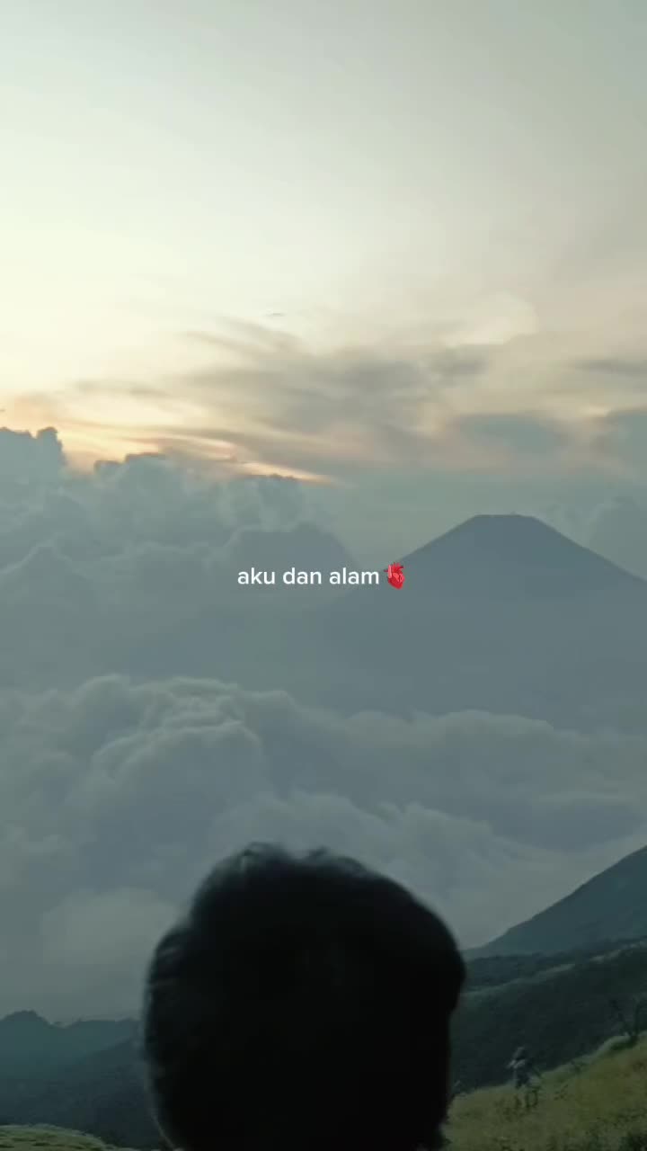 @sdk@