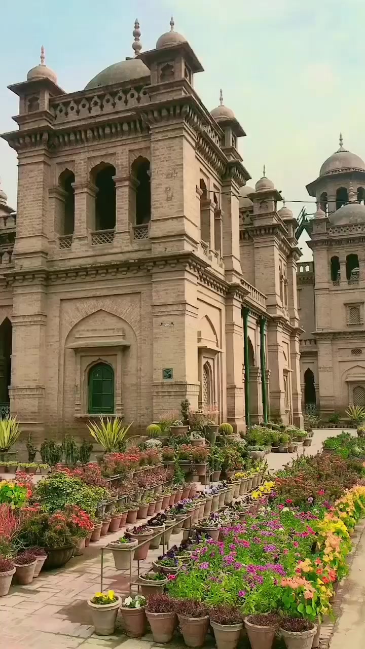 @𝑃𝑎𝑗𝑎𝑔𝑔𝑖 𝑘𝑖𝑛𝑔