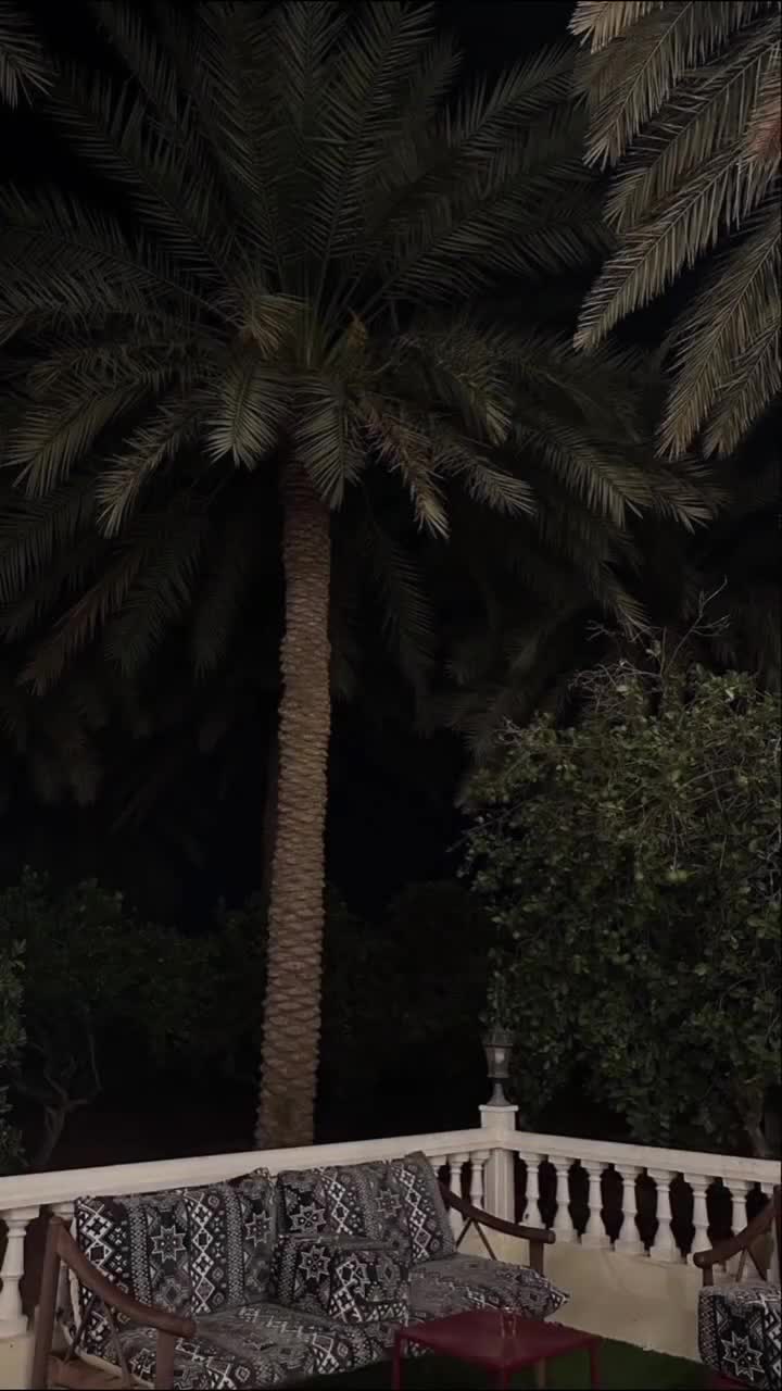 @أميرة🤍