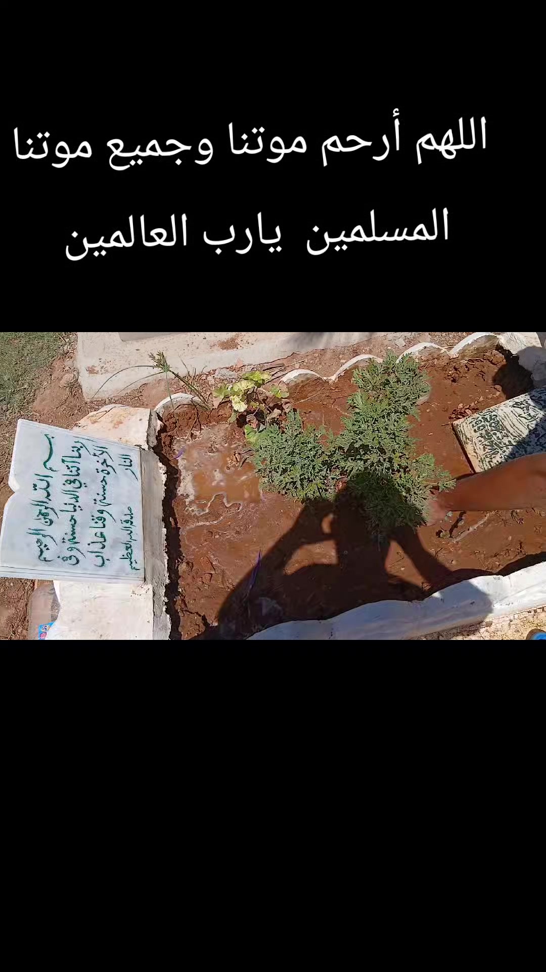 @Mounir Bachir858