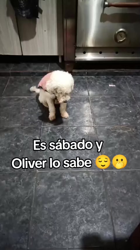 @QuimeyMacarena