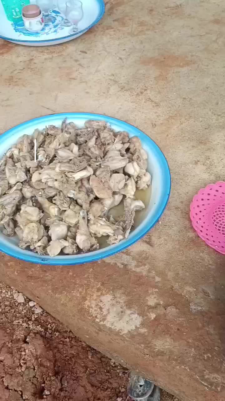 @asbari
