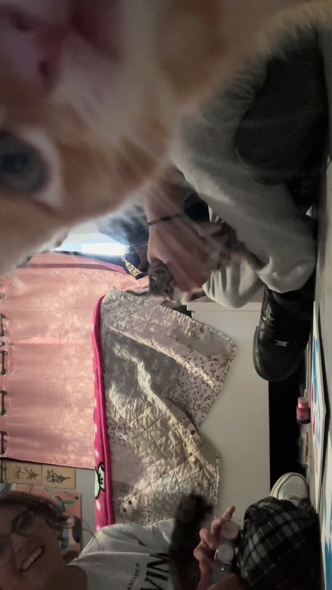 @~ 𝘔𝘦𝘭𝘢𝘯𝘺 ~