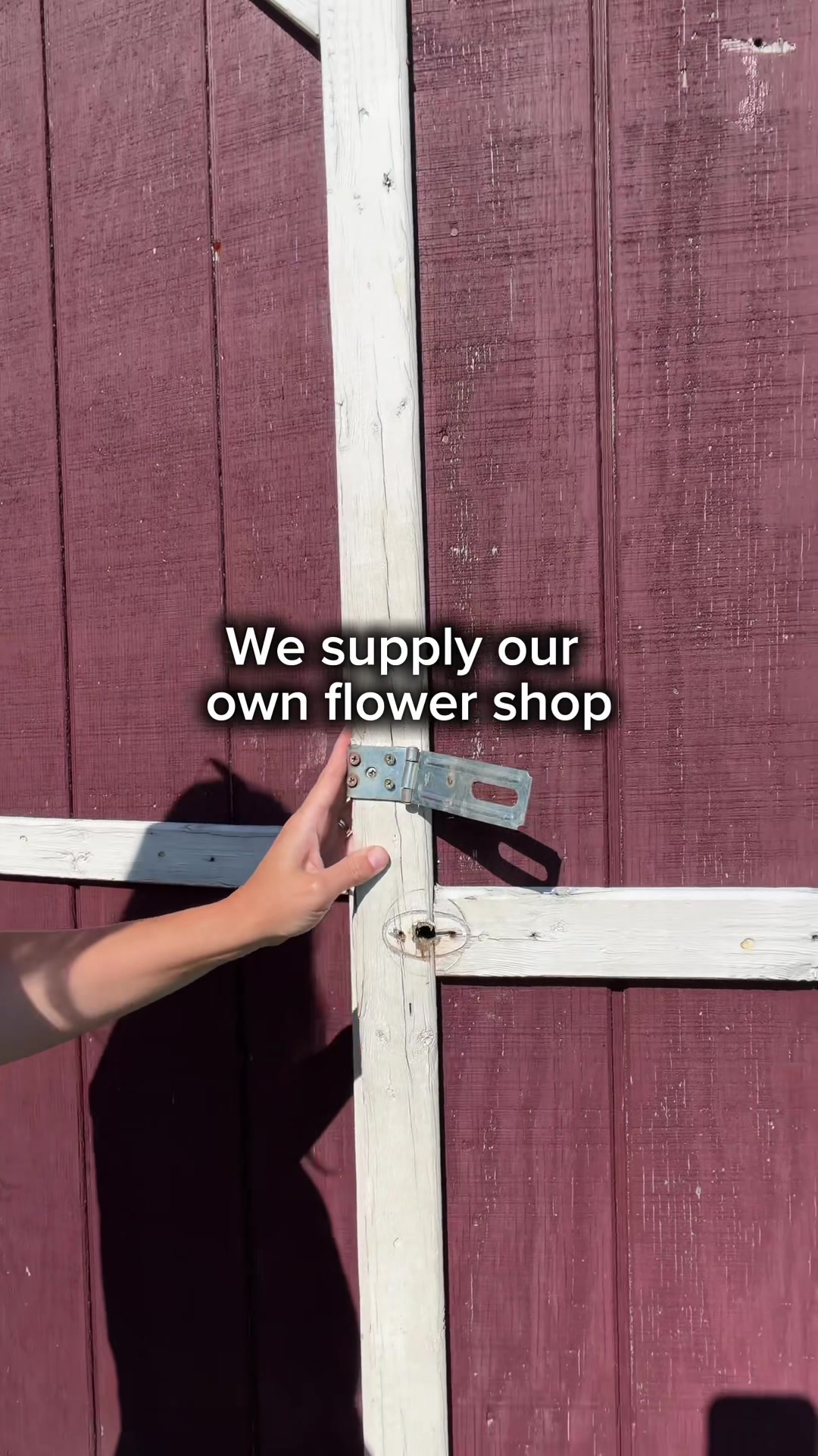 @Blessed Blooms Flower Farm🌷🪴