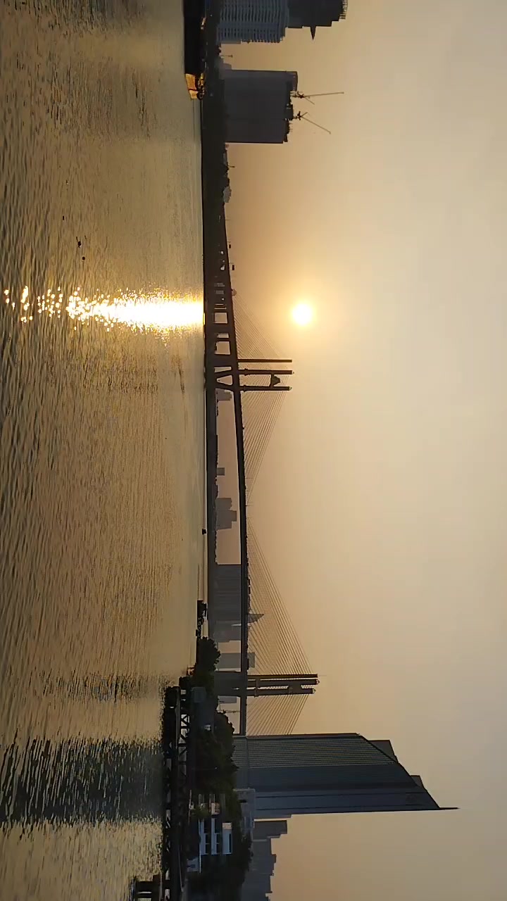 @Sea Gull