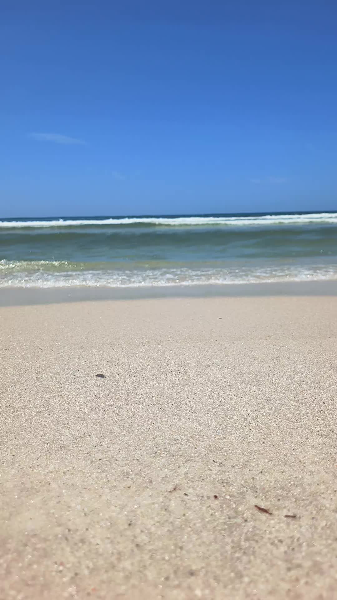 @AshleyChalet