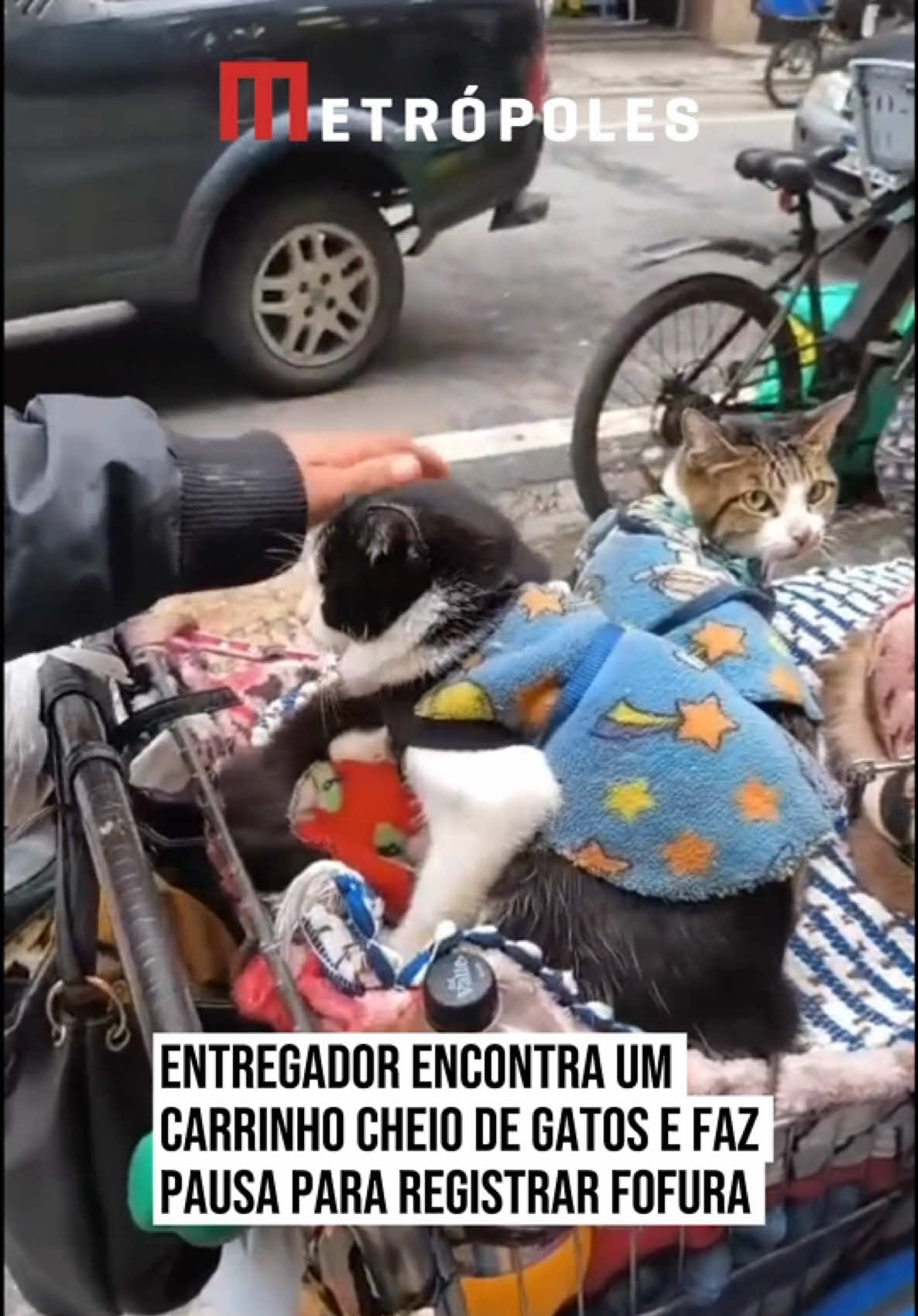 @Metrópoles Oficial
